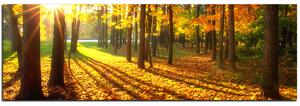 Slika na platnu - Jesenja šuma - panorama 5176A (105x35 cm)