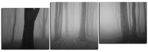 Slika na platnu - Magla u šumi - panorama 5182QE (150x50 cm)