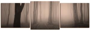 Slika na platnu - Magla u šumi - panorama 5182FD (150x50 cm)