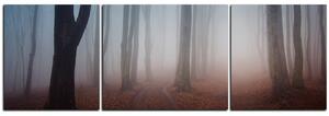 Slika na platnu - Magla u šumi - panorama 5182C (90x30 cm)