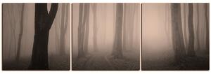 Slika na platnu - Magla u šumi - panorama 5182FB (90x30 cm)