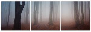 Slika na platnu - Magla u šumi - panorama 5182B (90x30 cm)