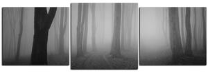 Slika na platnu - Magla u šumi - panorama 5182QD (150x50 cm)