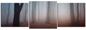 Slika na platnu - Magla u šumi - panorama 5182D (90x30 cm)