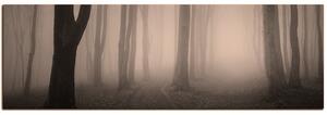 Slika na platnu - Magla u šumi - panorama 5182FA (105x35 cm)