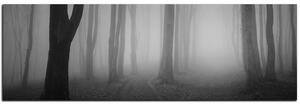 Slika na platnu - Magla u šumi - panorama 5182QA (105x35 cm)