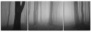 Slika na platnu - Magla u šumi - panorama 5182QC (150x50 cm)