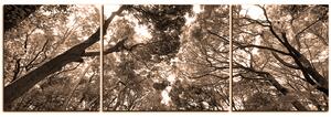 Slika na platnu - Zeleno drveće u šumi - panorama 5194FC (150x50 cm)