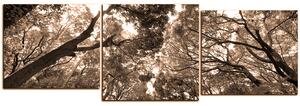 Slika na platnu - Zeleno drveće u šumi - panorama 5194FE (150x50 cm)