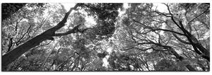 Slika na platnu - Zeleno drveće u šumi - panorama 5194QA (105x35 cm)
