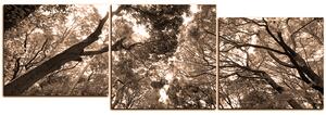 Slika na platnu - Zeleno drveće u šumi - panorama 5194FD (90x30 cm)