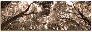 Slika na platnu - Zeleno drveće u šumi - panorama 5194FA (105x35 cm)