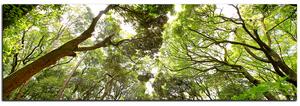 Slika na platnu - Zeleno drveće u šumi - panorama 5194A (105x35 cm)