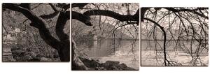 Slika na platnu - Jesen kraj jezera - panorama 5198QD (150x50 cm)