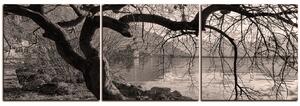 Slika na platnu - Jesen kraj jezera - panorama 5198QB (150x50 cm)