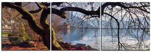 Slika na platnu - Jesen kraj jezera - panorama 5198B (90x30 cm)