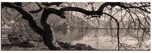 Slika na platnu - Jesen kraj jezera - panorama 5198QA (105x35 cm)
