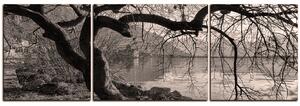 Slika na platnu - Jesen kraj jezera - panorama 5198QC (150x50 cm)