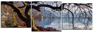 Slika na platnu - Jesen kraj jezera - panorama 5198D (150x50 cm)