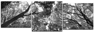 Slika na platnu - Zeleno drveće u šumi - panorama 5194QE (90x30 cm)