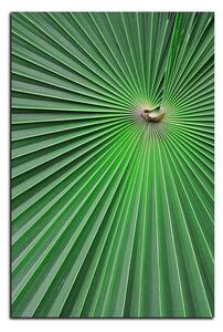 Slika na platnu - Tropsko lišće - pravokutnik 7205A (90x60 cm )