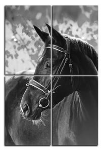 Slika na platnu - Crni konj - pravokutnik 7220QE (120x80 cm)