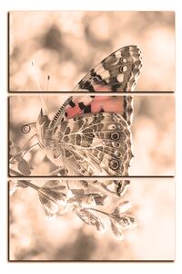 Slika na platnu - Leptir na lavandi - pravokutnik 7221FB (90x60 cm )