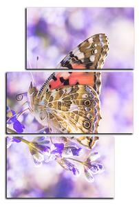 Slika na platnu - Leptir na lavandi - pravokutnik 7221D (90x60 cm)