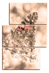 Slika na platnu - Leptir na lavandi - pravokutnik 7221FD (90x60 cm)