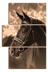 Slika na platnu - Crni konj - pravokutnik 7220FD (120x80 cm)
