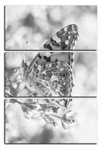 Slika na platnu - Leptir na lavandi - pravokutnik 7221QB (90x60 cm )