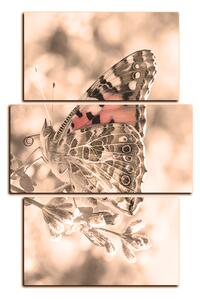 Slika na platnu - Leptir na lavandi - pravokutnik 7221FC (90x60 cm)