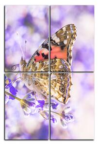 Slika na platnu - Leptir na lavandi - pravokutnik 7221E (90x60 cm)