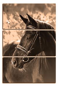 Slika na platnu - Crni konj - pravokutnik 7220FB (90x60 cm )