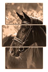 Slika na platnu - Crni konj - pravokutnik 7220FC (90x60 cm)