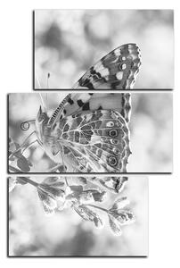 Slika na platnu - Leptir na lavandi - pravokutnik 7221QD (90x60 cm)