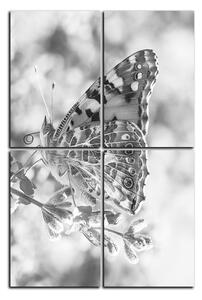 Slika na platnu - Leptir na lavandi - pravokutnik 7221QE (90x60 cm)