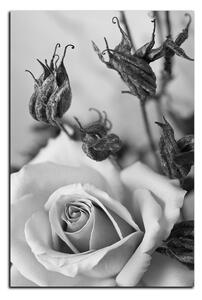 Slika na platnu - Ruža i suhe biljke - pravokutnik 7225QA (100x70 cm)