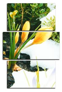 Slika na platnu - Rano proljetno cvijeće - pravokutnik 7242C (90x60 cm)