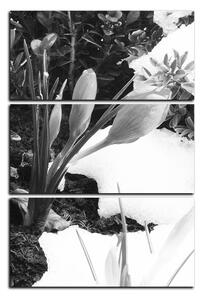 Slika na platnu - Rano proljetno cvijeće - pravokutnik 7242QB (90x60 cm )