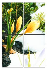 Slika na platnu - Rano proljetno cvijeće - pravokutnik 7242E (120x80 cm)