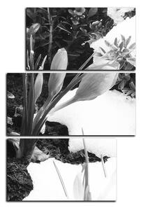 Slika na platnu - Rano proljetno cvijeće - pravokutnik 7242QD (120x80 cm)