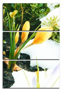 Slika na platnu - Rano proljetno cvijeće - pravokutnik 7242B (90x60 cm )