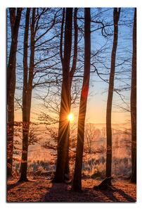 Slika na platnu - Jesenje jutro u šumi - pravokutnik 7251A (90x60 cm )