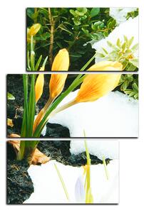 Slika na platnu - Rano proljetno cvijeće - pravokutnik 7242D (90x60 cm)