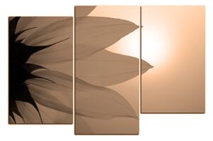 Slika na platnu - Cvijet suncokreta 1201FD (90x60 cm)