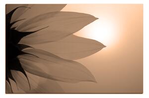 Slika na platnu - Cvijet suncokreta 1201FA (60x40 cm)