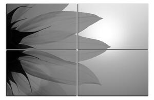 Slika na platnu - Cvijet suncokreta 1201QE (150x100 cm)