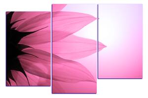 Slika na platnu - Cvijet suncokreta 1201VD (90x60 cm)