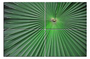 Slika na platnu - Tropsko lišće 1205E (150x100 cm)